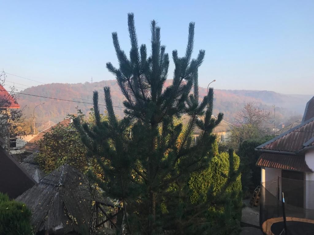 Загородные дома Polyanskiy Zamok Поляна